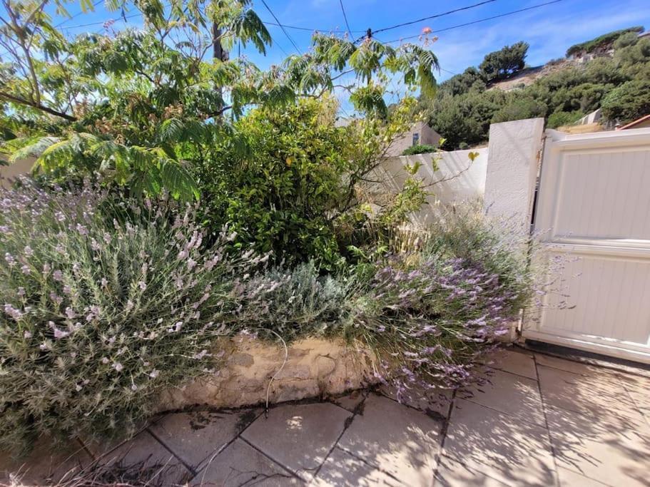 Villa 160 M2 Au Coeur De La Calanque De Samena Marseille Eksteriør billede
